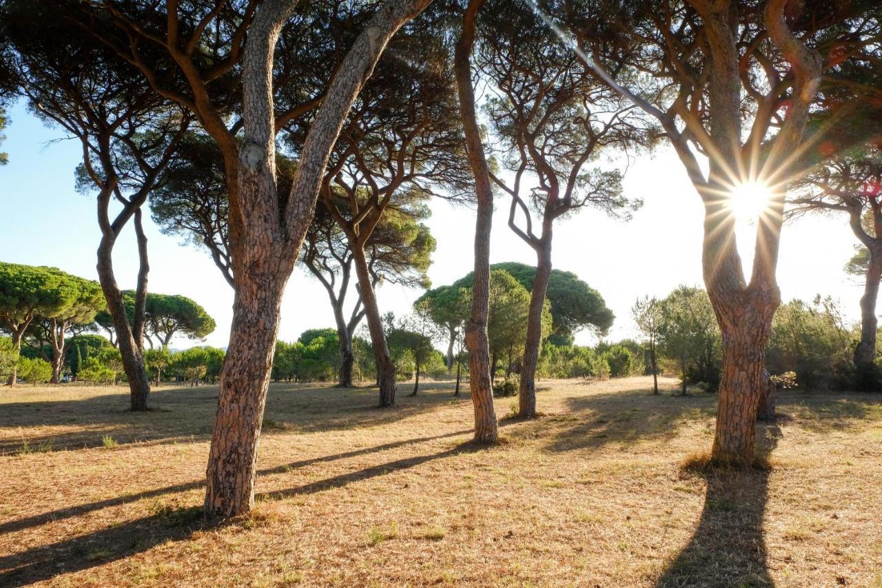 Residence La Canova II Гроссето Екстер'єр фото
